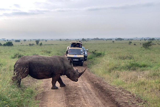 Half-Day Nairobi National Park Safari from Nairobi with Free Pickup - Nairobi National Park, safari country beside the city