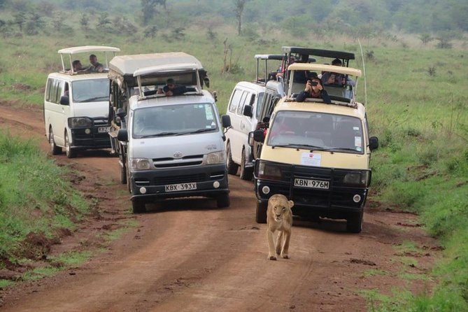 Half-Day Nairobi National Park Safari from Nairobi with Free Pickup - Pickup timing can shape the whole morning