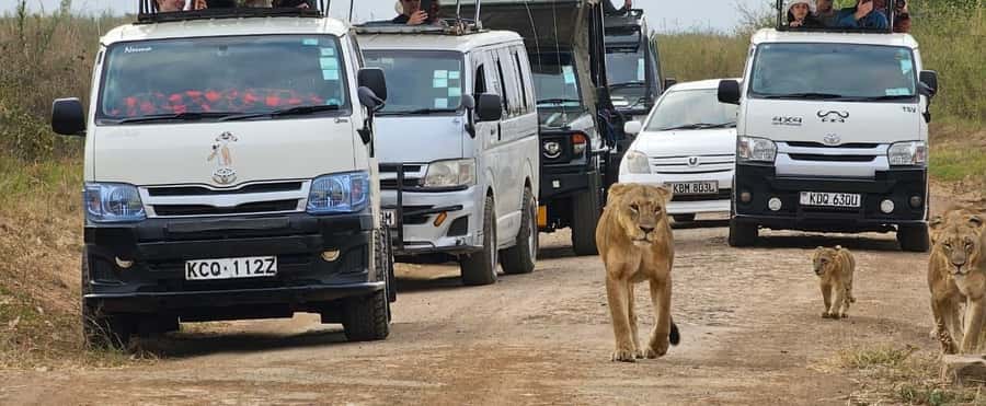 Half day Nairobi National Park with free pick up - Registering at Nairobi National Park
