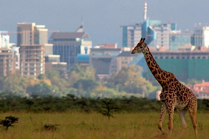 Half Day Private Tour in Nairobi National Park with Admission - Nairobi National Park with the city in view
