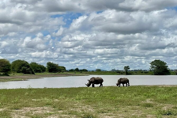 Half Day Private Tour in Nairobi National Park with Admission - Dams, hippos, crocodiles, and water birds