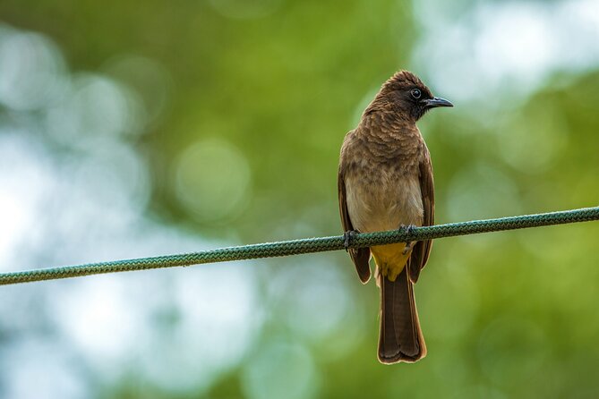 Half Day Safari at Nairobi National Park - What to bring and how to use four hours well