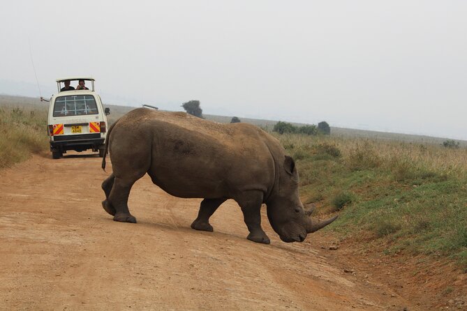 Half Day Tour To Nairobi National Park and Giraffe Center - Should you book this Nairobi wildlife morning?