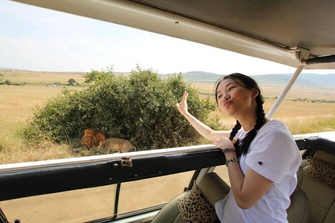 Half day wildlife tour to Nairobi National Park Game Drive with Pickup/Drop off - Four hours in an open-roof 4WD van