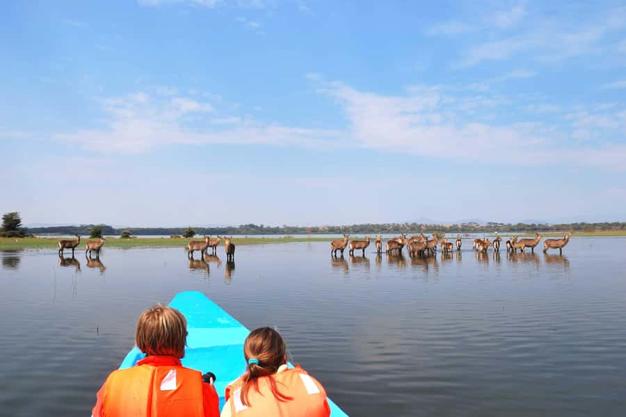 Hell's Gate and Lake Naivasha Guided Day Trip - The road west and the value of hotel transfers