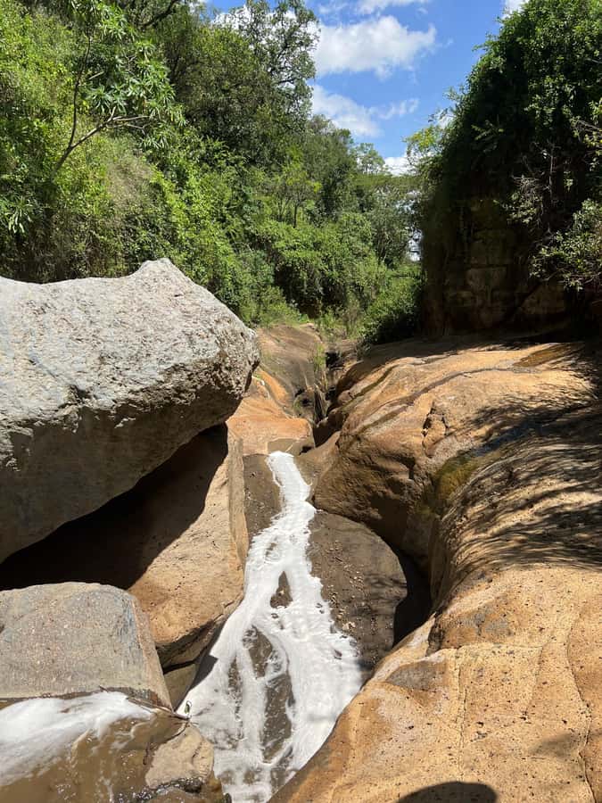 Hell's Gate & Lake Naivasha: Bike Tour, Hike & Boat Ride - Cycling across the plains with zebra nearby