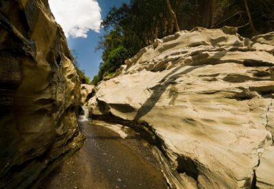 Hell’s Gate National Park and Lake Naivasha Private Tour