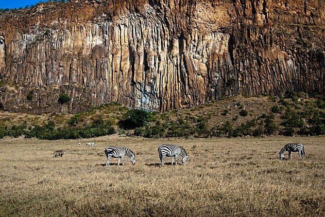 Hell's Gate National Park Private Bike Tour from Nairobi - What the service seems to do well