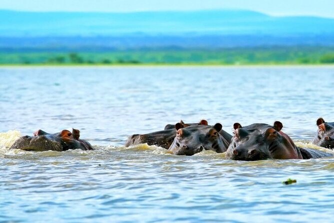 Hell's Gate Park and Lake Naivasha Day Tour - Leaving Nairobi Before the Roads Fill