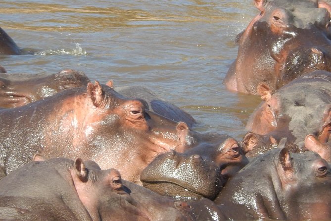 Hells Gate Cycling park & Lake Naivasha Boat tour