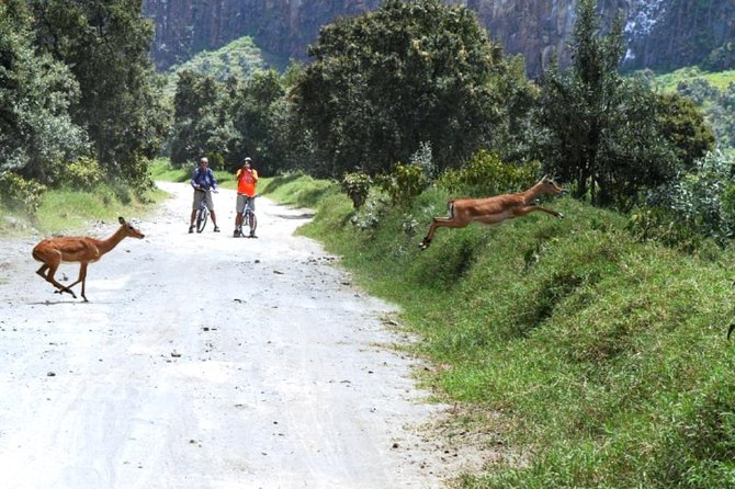 Hells Gate Excursion in Naivasha - The human side: Moses, Obed, and guide quality