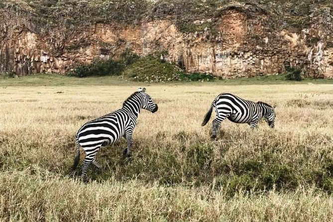 Hells Gate Excursion in Naivasha - Who will enjoy this most