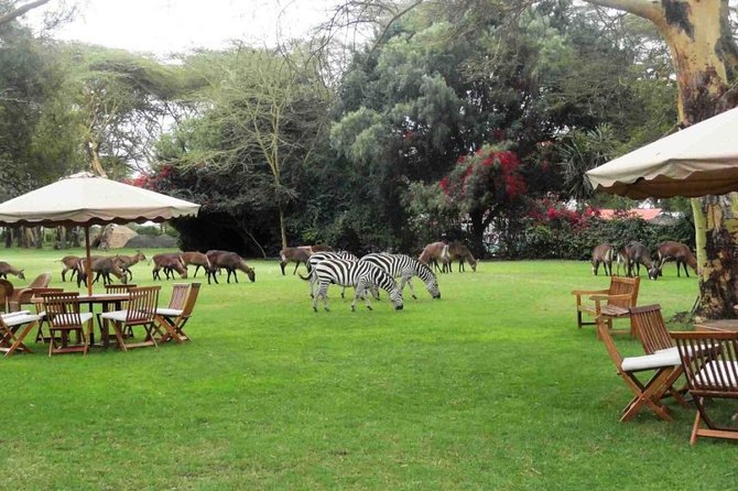 Hells Gate Excursion in Naivasha - What to confirm before you pay