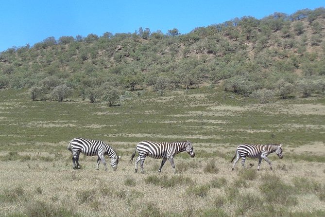 Hells Gate National Park Day Trip - Lake Naivasha brings a calmer second stop