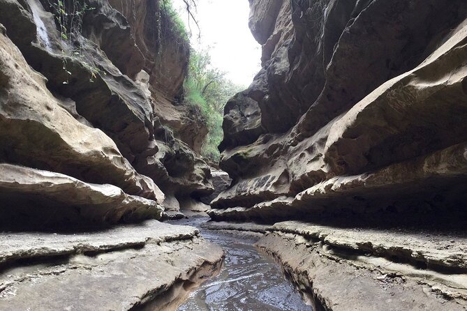 Hells Gate National Park & Lake Naivasha Day Trip from Nairobi - Key points at a glance