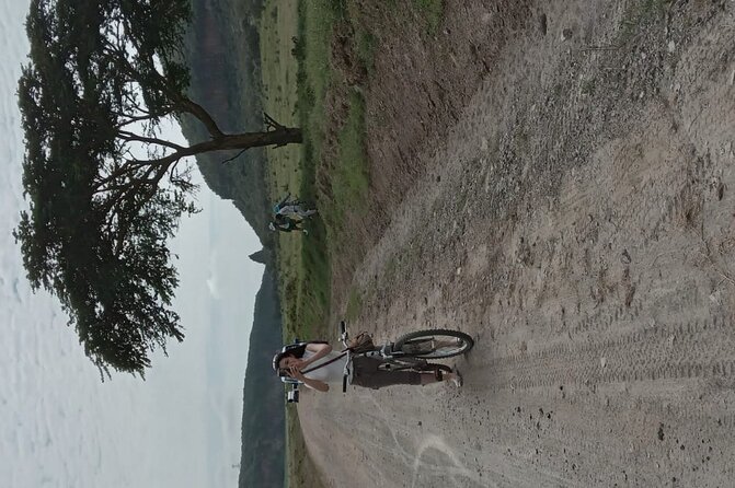 Hells Gate National Park & Lake Naivasha Day Trip from Nairobi - Choosing between a game drive and bike hire
