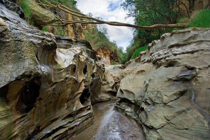 Hells Gate National Park & Lake Naivasha Day Trip from Nairobi - The ride from Nairobi to the Great Rift Valley