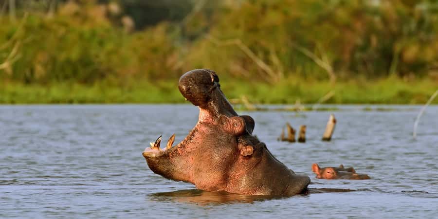 Hellsgate and Lake Naivasha Day Trip from Nairobi - Lunch and a chance to make Kenyan food