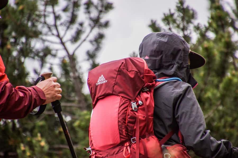 Hike in The Karura Forest - Key points to know before you book