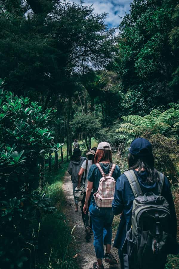 Hike in The Karura Forest - Starting at 13 Nkrumah Ave and getting to the forest