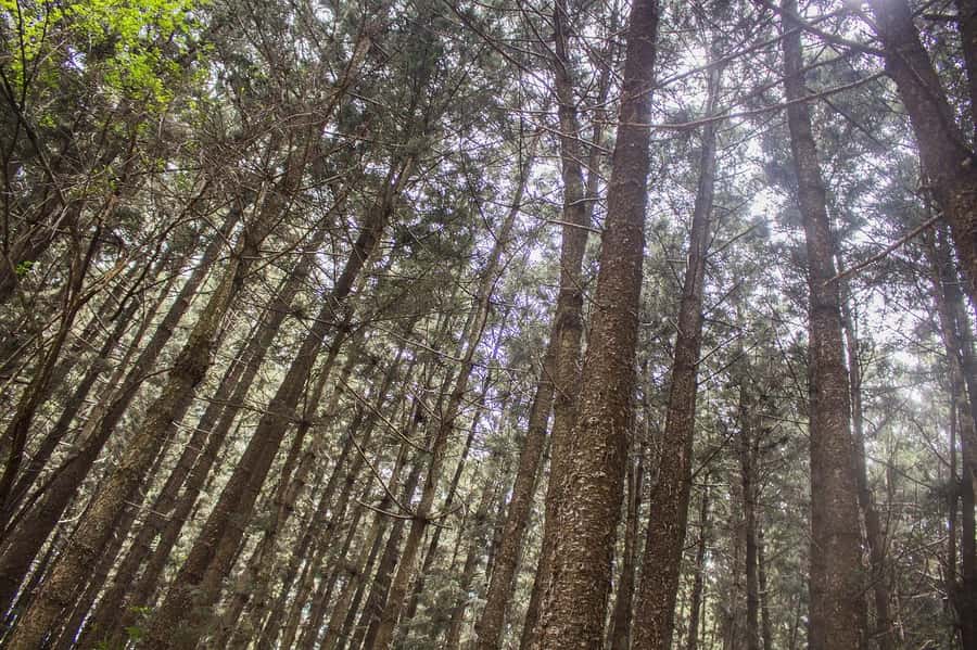 Hike in The Karura Forest - Waterfalls and caves add variety