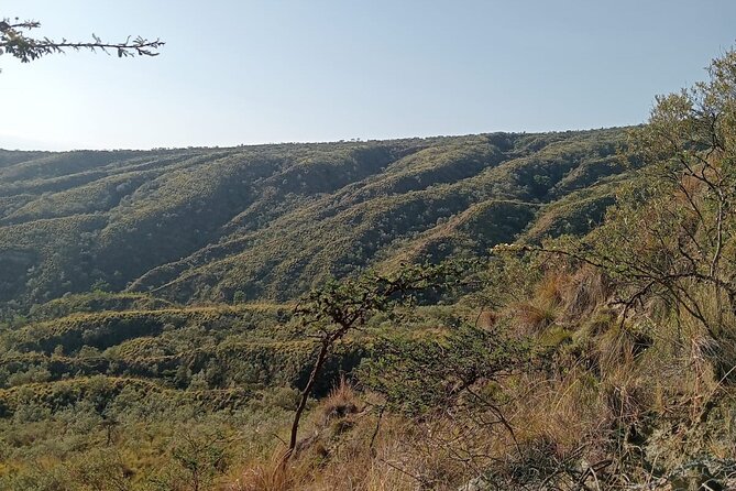 Hiking Trip to Mount Longonot National Park & Lake Naivasha - The crater rim changes the hike
