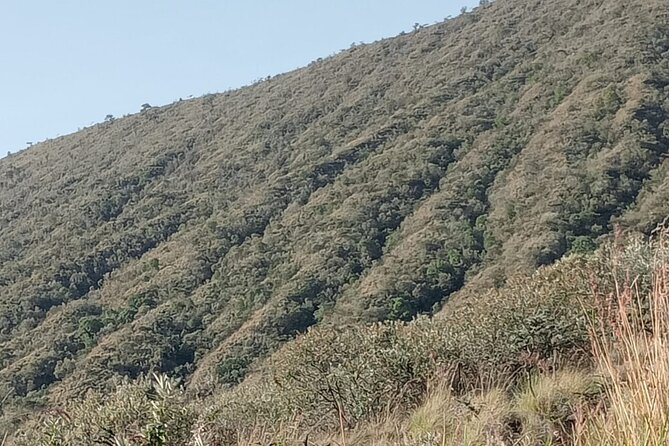 Hiking Trip to Mount Longonot National Park & Lake Naivasha - Timing and the full-day rhythm