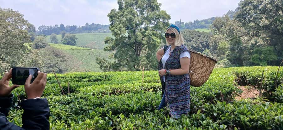Kaimbethu tea farm tour and lunch package - A long, generous lunch at the farm