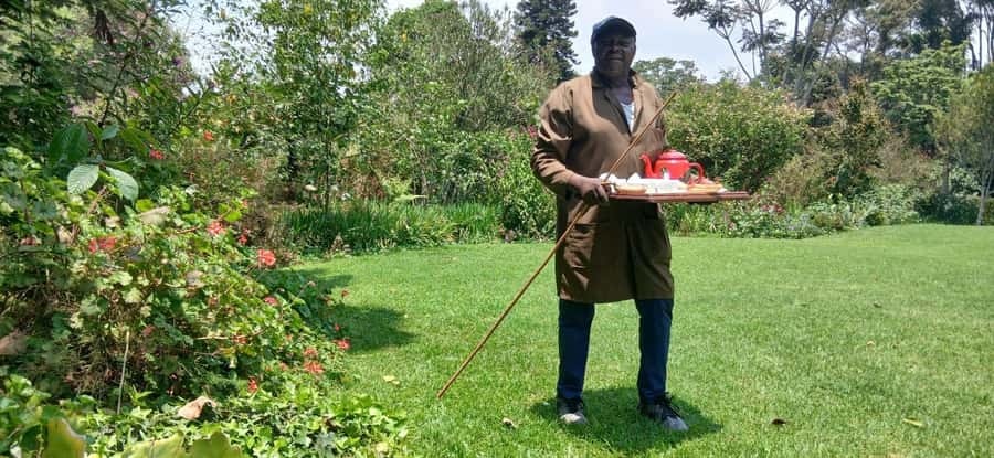Kaimbethu tea farm tour and lunch package - Tea tasting, farm life, and the pace of the afternoon