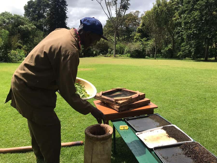 Kaimbethu tea farm tour and lunch package - Pickup across Nairobi and the road to the farm