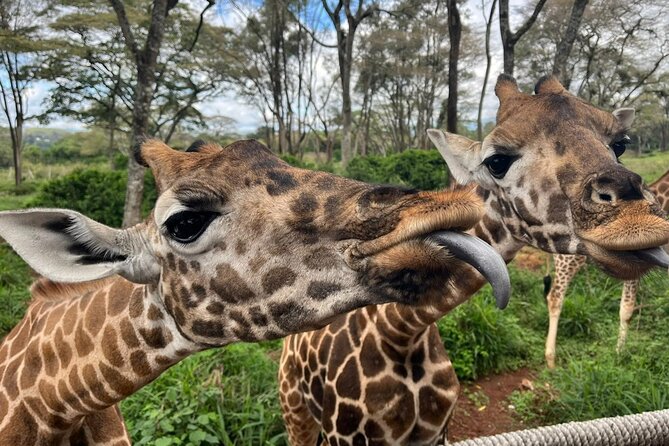 Karen Blixen Museum, Beads craft and Giraffe Day tour - Seeing how Kobe Tough Beads are made