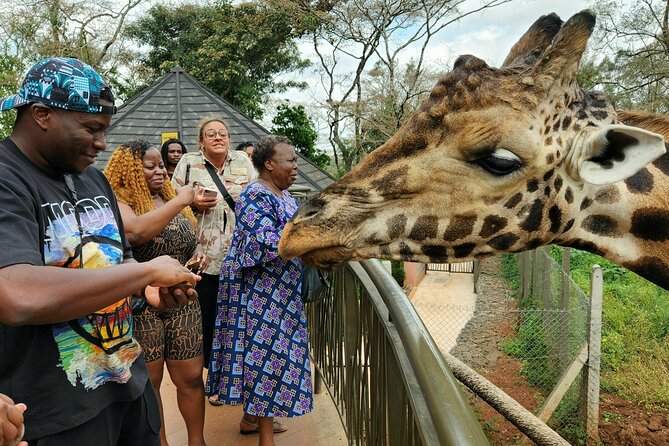 Karen Blixen Museum, Beads craft and Giraffe Day tour - Guides, driving, and the feel of the day