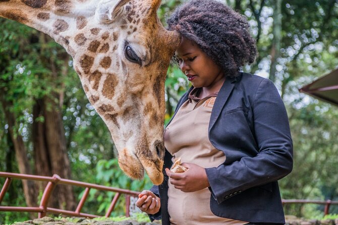 Karen Blixen Museum & Giraffe Centre Half day tour - Should you book the Karen Blixen and Giraffe Centre tour?