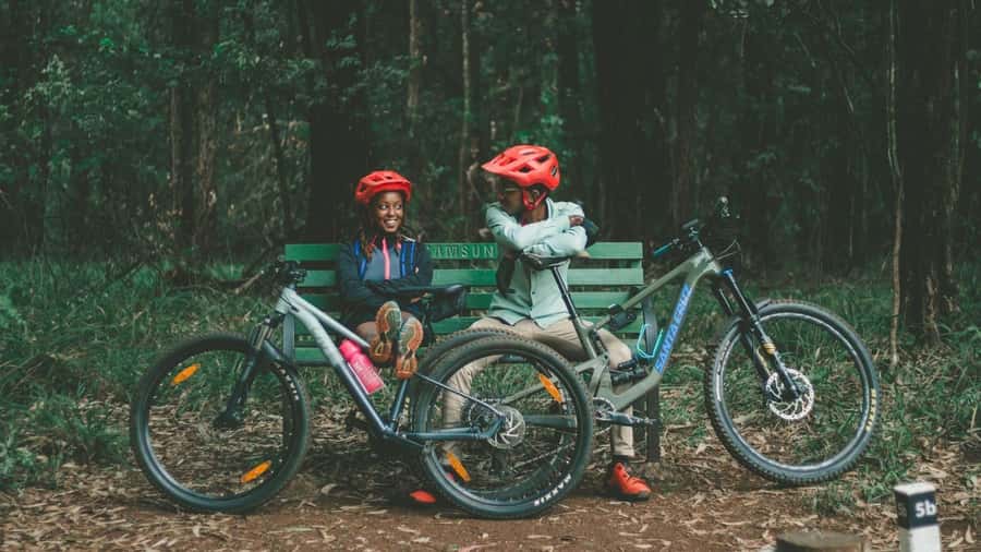 Karura forest A walking tour from Nairobi - Following the 5-Kilometer Forest Walk