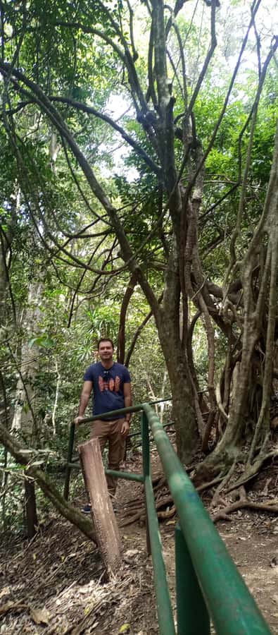 Karura forest: A walking tour into Nairobi's Nature Oasis - Key points to know before you go
