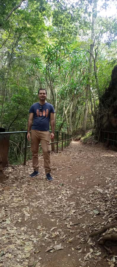 Karura forest: A walking tour into Nairobi's Nature Oasis - Why Karura Forest makes a smart Nairobi break
