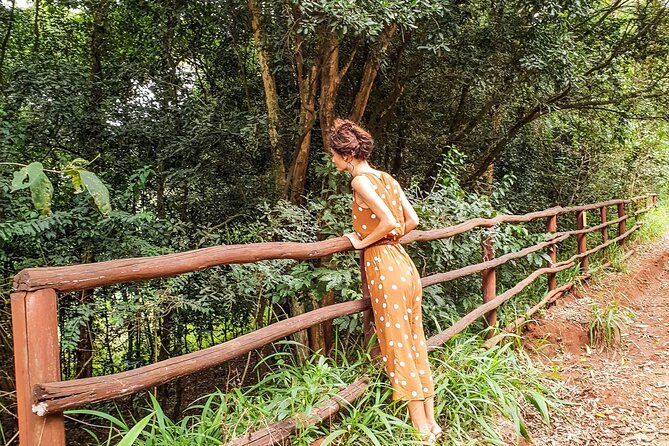 Karura Forest Hiking and Bike Tour - Key points at a glance