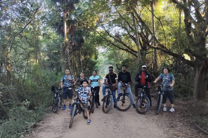 Karura Forest Hiking and Bike Tour - Birdwatching among upland trees