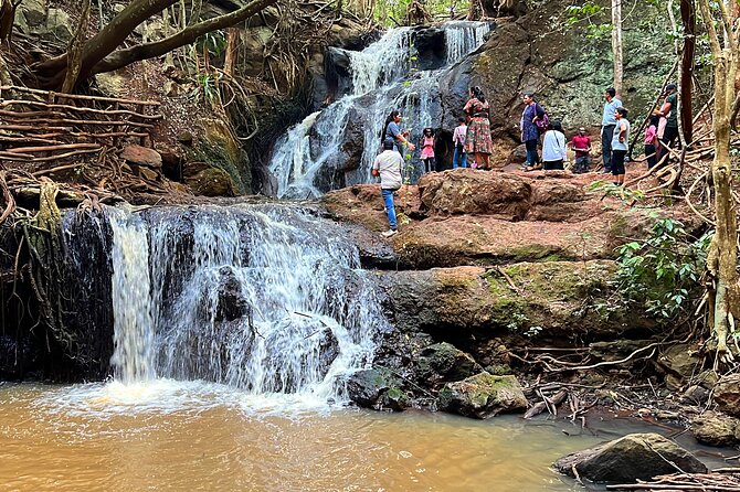 Karura Forest Nature Trail - Key points at a glance