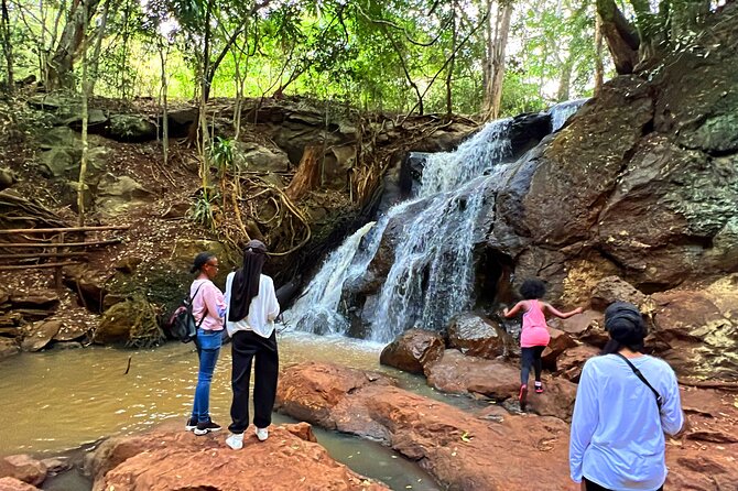 Karura Forest Nature Trail - Walking beneath Karura’s tree cover