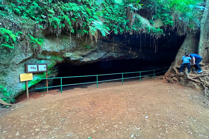 Karura Forest Nature Trail - Cycling, jogging, birdwatching, and quieter options