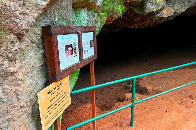 Karura Forest Nature Trail - Who will enjoy this forest outing most?