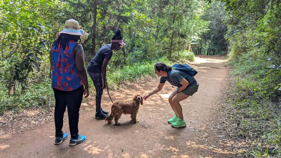 Karura Forest: Walking tour with Nature and Waterfalls. - Key points to know before you go