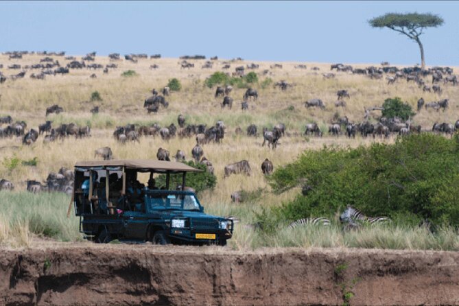 Kenya safari - Lake Naivasha and the active side of safari