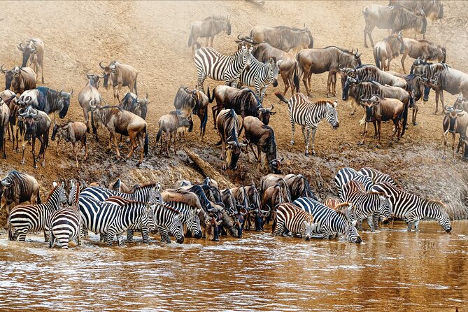 Kenya safari - Who should book this Kenya safari