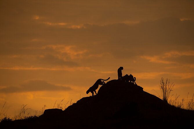 Kenya Safari: Amboseli, Lake Naivasha & Masai Mara - Accommodation, meals, and what the price covers
