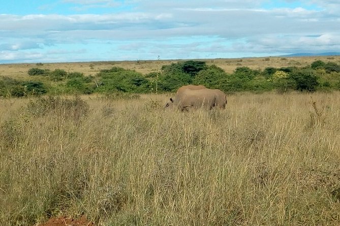 Kenya safari - Starting in Nairobi with airport pickup