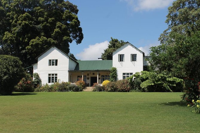 Kiambethu Tea Farm Tour & Lunch From Nairobi - Why Kiambethu feels different from a standard tea stop