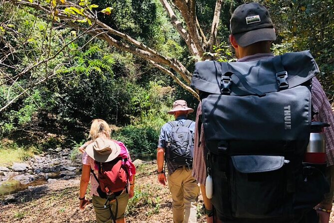 Kilimanjaro Wanderlust Day Hike - Starting at 7:30 in Oloitoktok