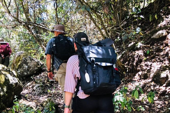 Kilimanjaro Wanderlust Day Hike - Useful planning details before you book